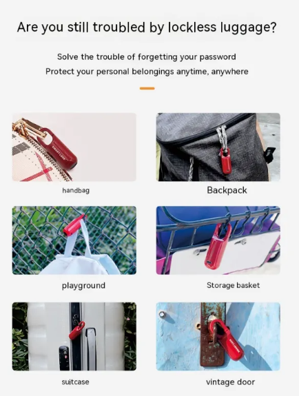 Fingerprint Access Padlock