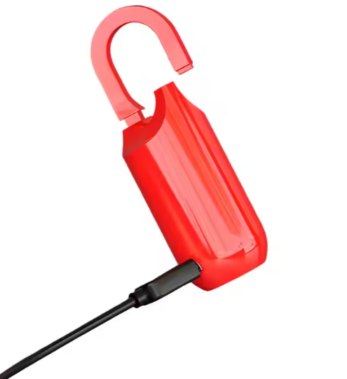 Fingerprint Access Padlock