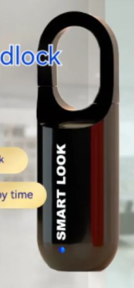 Fingerprint Access Padlock