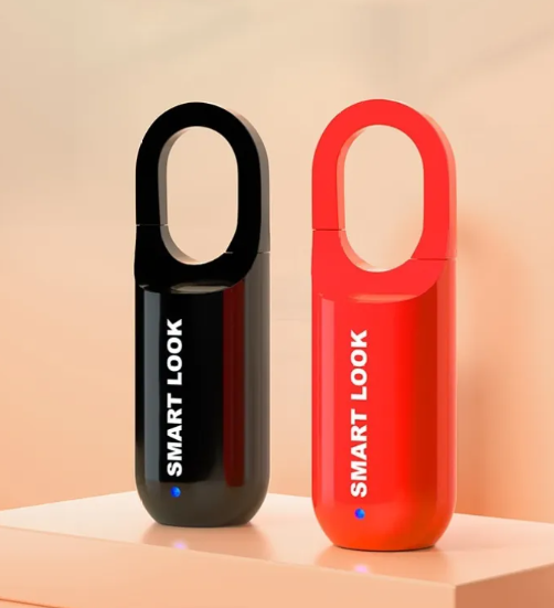 Fingerprint Access Padlock